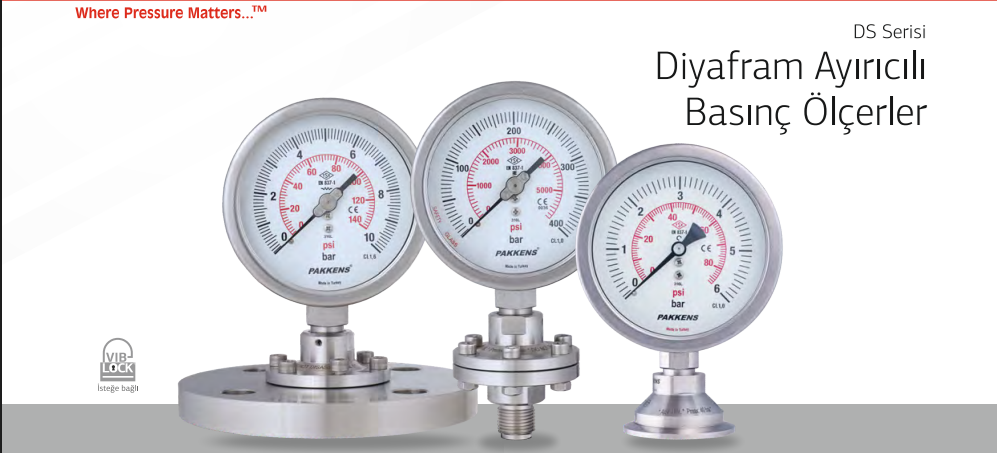 DS Serisi Diyafram Ayırıcılı Basınç Ölçerler