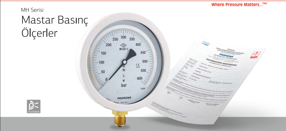 MH Serisi Mastar Basınç Ölçerler