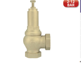 Ayarlı Buhar Emniyet Ventili 2-12 Bar