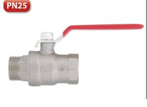 PN25 Küresel Vana Dişi Erkek Tam Geçişli